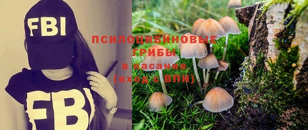 прущая мука Покров