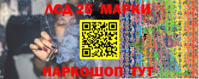 стафф Абакан