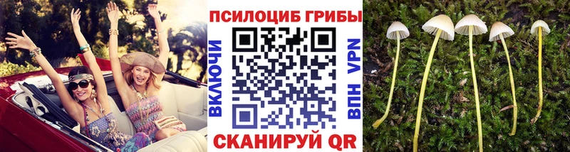 Псилоцибиновые грибы мухоморы  Алатырь 