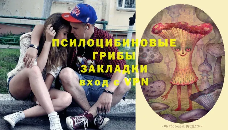 сколько стоит  Алатырь  Галлюциногенные грибы мухоморы 