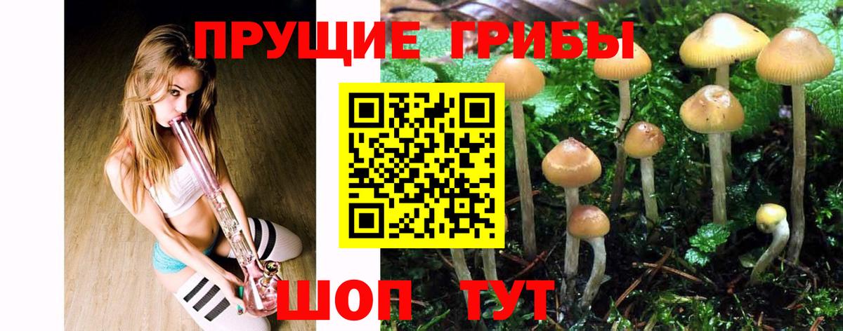Алатырь  где можно купить наркотик  Вход с VPN  Галлюциногенные грибы Magic Shrooms 
