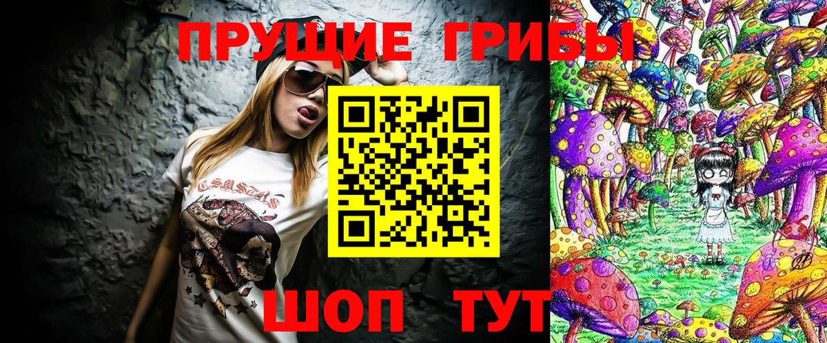 Галлюциногенные грибы GOLDEN TEACHER  Галлюциногенные грибы Cubensis  Алатырь 